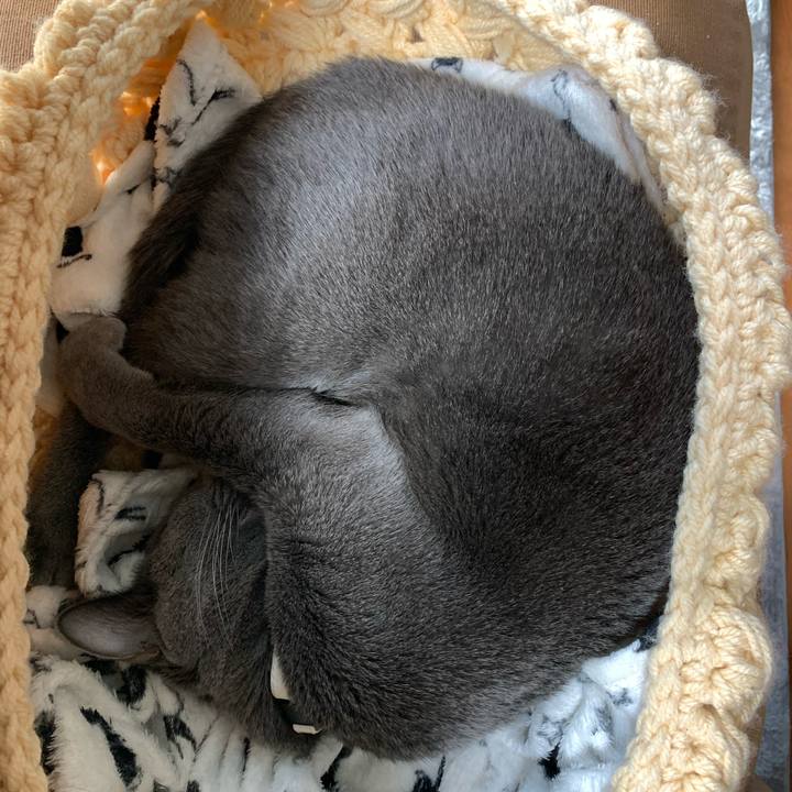 8af0c367 fbb1 4662 8471 6aed4185cdff 1642747027069