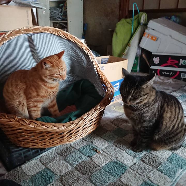 8af10005 733b 401b 9bb4 bf3af6ba3c6a 1642997203191