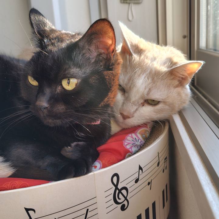 8af11083 f027 467c a825 cca721862ec2 1768610303972