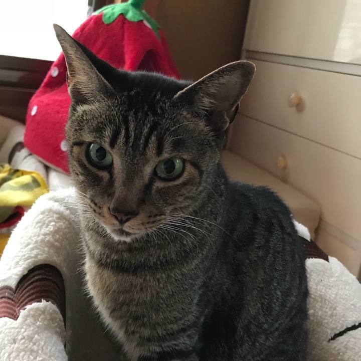 8af1261e 75d7 4249 8bd4 27d20f57c9c2 1508204435401