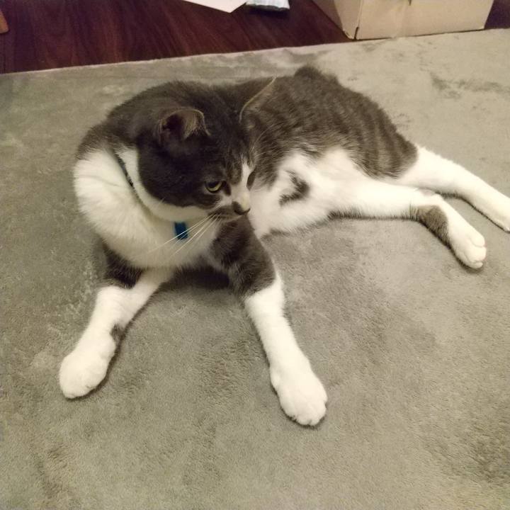 8af16a01 2f28 449c b8c2 ad0c25739baf 1604750312153