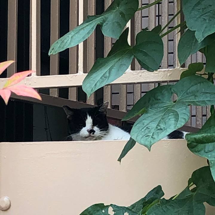 8af17a95 59c2 4003 b975 7baf0f222243 1564047091116