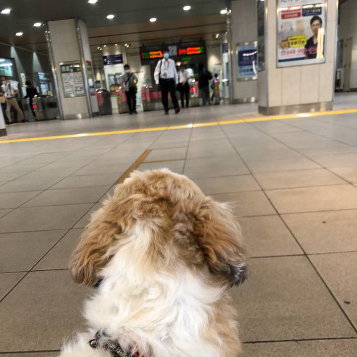 8af1952f df16 4b1a ab70 5cb3d8fd9769 1595551387683