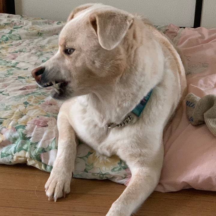 8af1d210 23d2 46da bcaa c806e6f80c78 1566304452168