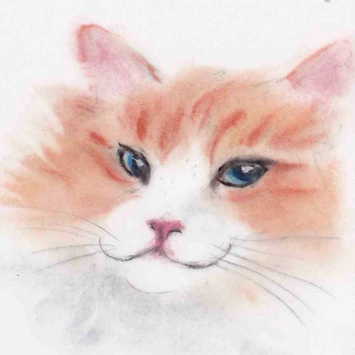 8af1f0c1 91eb 46ef ab72 806754af062d 1629854029301