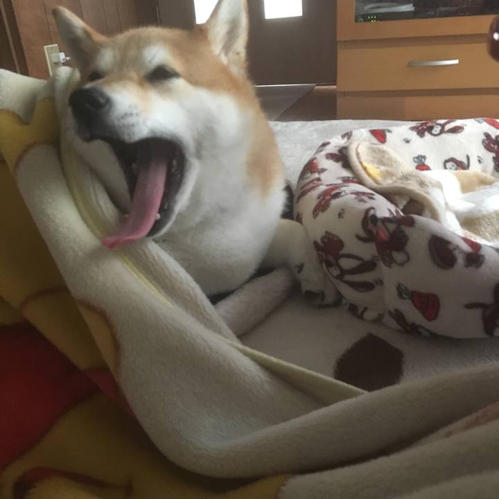 8af25434 3189 4022 bdb8 ddde508f2ea3 1544243332851