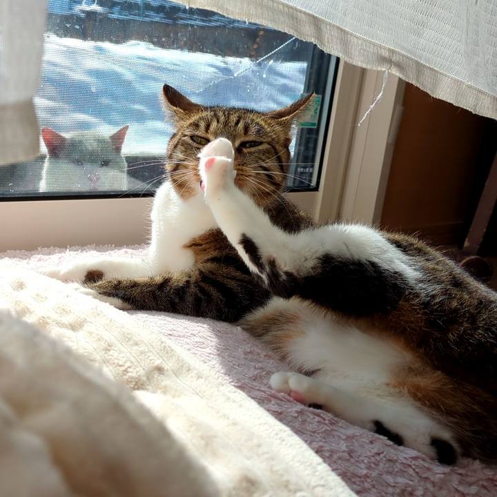 8af25777 60c1 48d6 b2b8 13869c85263f 1707288434155