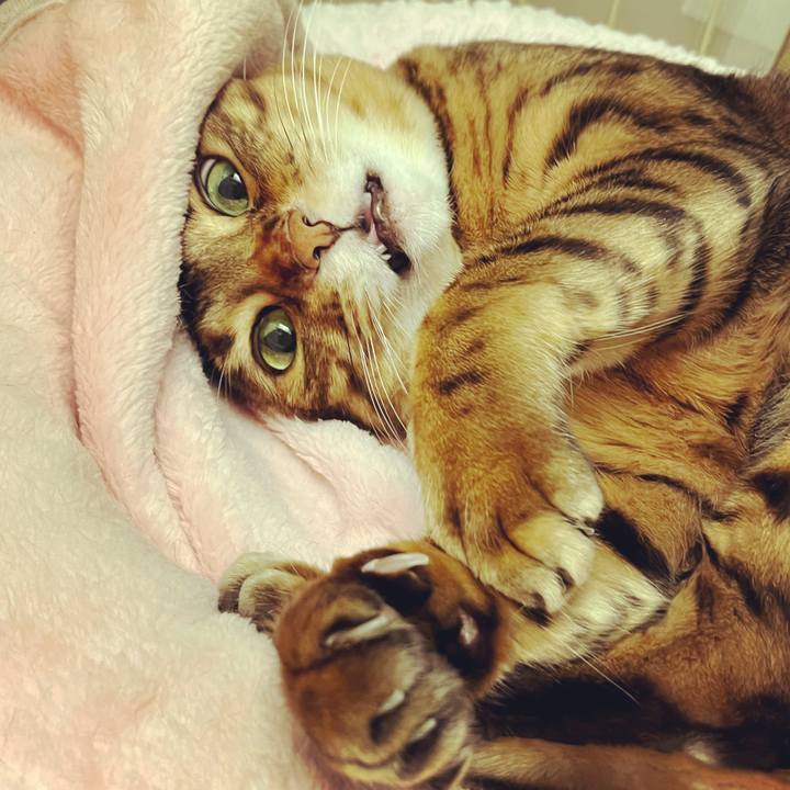 8af27621 f763 4b34 aeda 53e6e71fd0fa 1637198760531