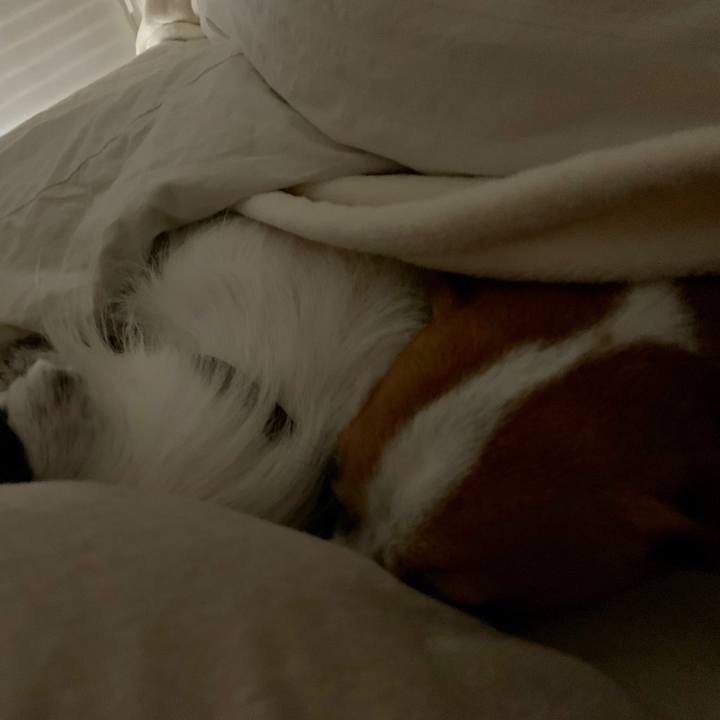 8af27633 8c27 4a82 b039 c4512c8c7601 1554562366435