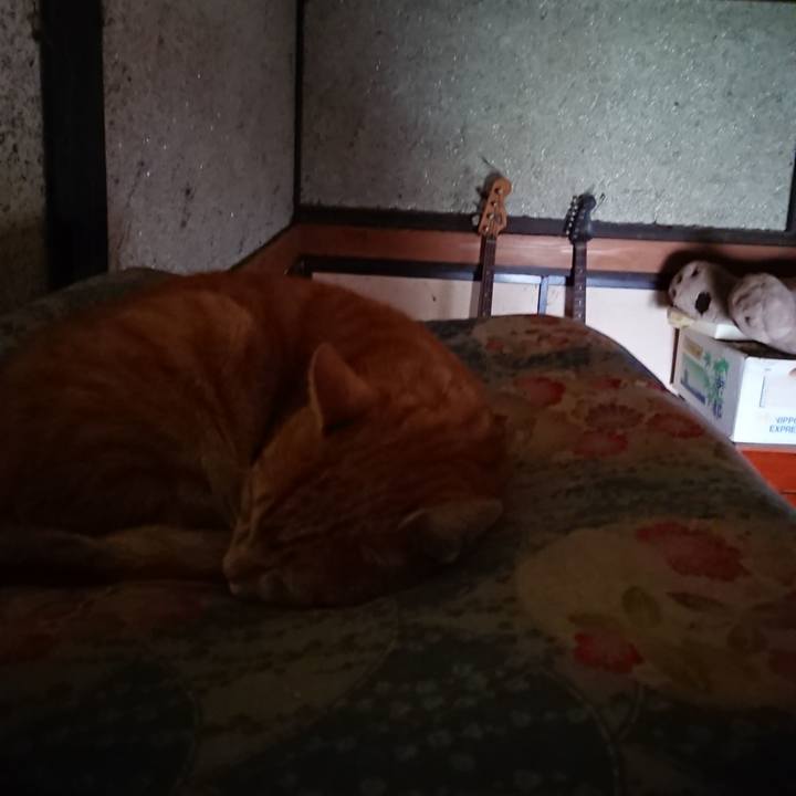 8af27b51 4e3d 4dab 8f4a 2d7f9c35213d 1601171853185