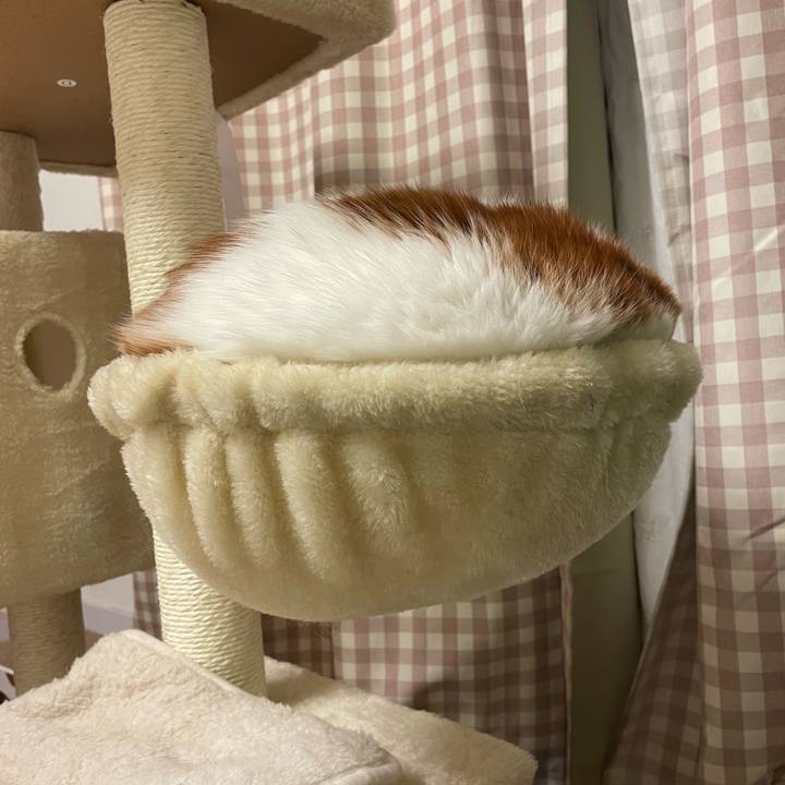 8af28941 d863 4ce7 9d4c a5914b57eb25 1704709848317