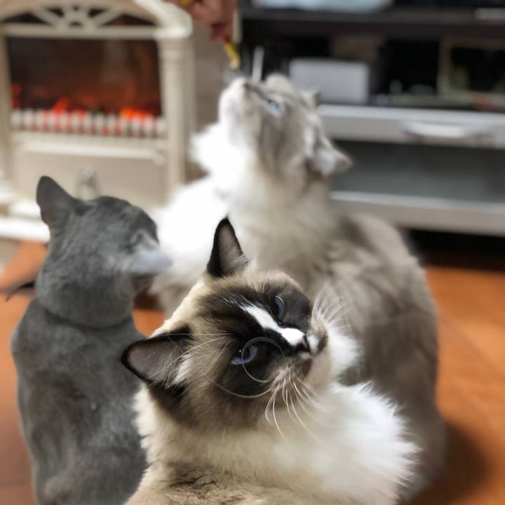 8af28e54 d2ec 49d3 b265 3540885d0d53 1543231262946