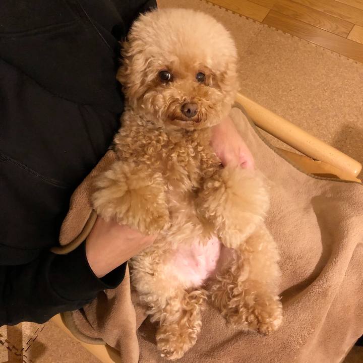 8af29ce5 7393 44d7 9113 9f41314c503e 1508760323027