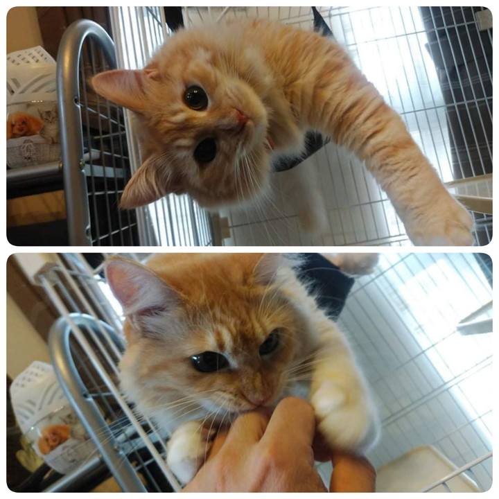 8af2e147 e80f 487b 9810 1bcd38ff1087 1628728624033