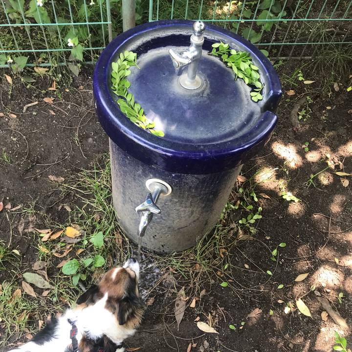 8af2e188 e42d 46e5 9ff9 406bcc261500 1653441616308