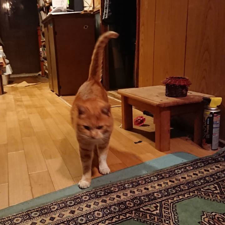 8af2f137 e2e7 4156 89a0 d25d0aaf0106 1578646441047