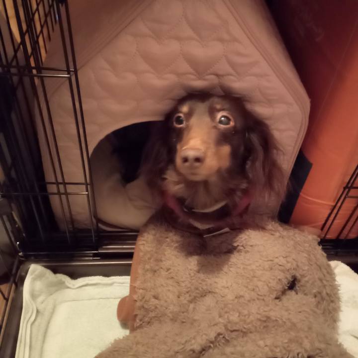 8af316e5 5cc4 44bf b210 925fbeb31d4a 1770326024751