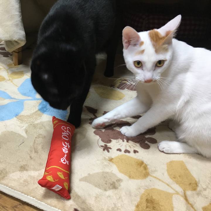 8af333dc 70f1 4111 96ae 9d7b5179e133 1509787991362