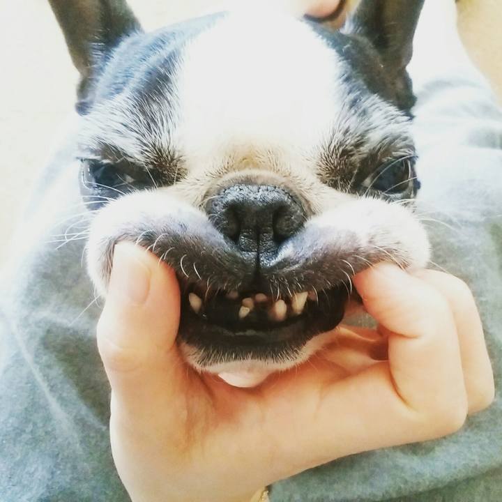 8af34528 3a2c 44e4 a176 e1260c97aeda 1521979460192