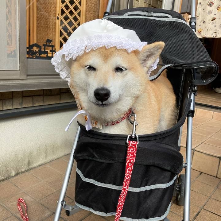 8af34c94 7e1a 4c8c 8174 1e50d91cce0e 1636721485031