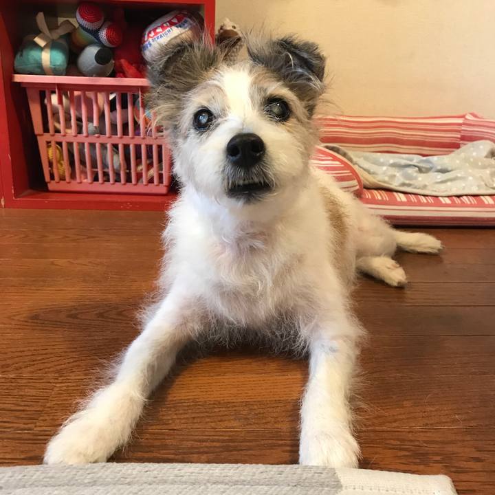 8af36c3a 8683 4f22 af9e 817e875e32d3 1532316210240