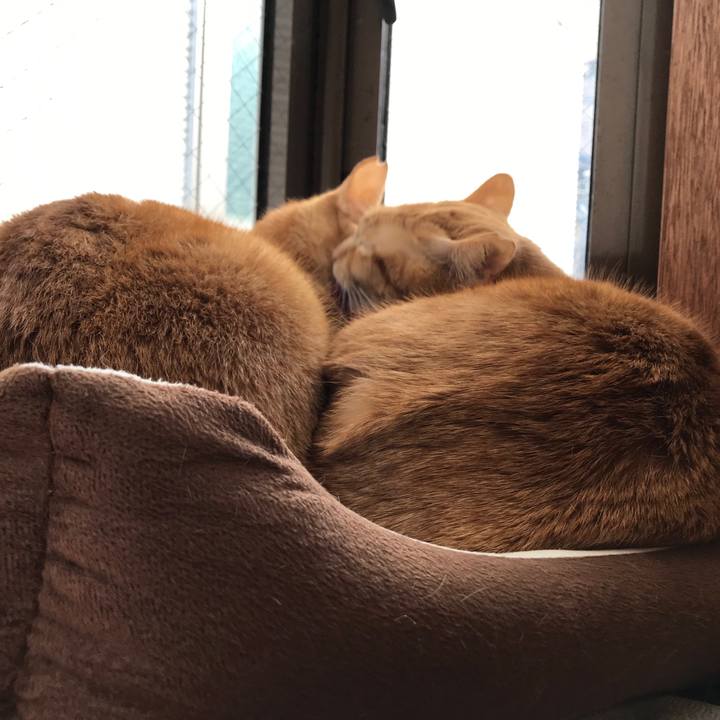 8af36db8 b2be 4e81 9422 5b7a82ffb667 1587423936292