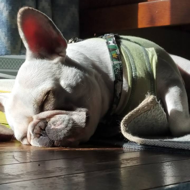 8af380db 67aa 46ea 909d 870c1a1c516c 1636161759889