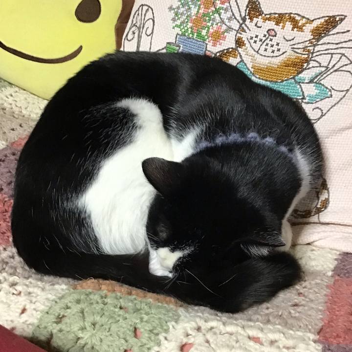 8af3b77f 81d8 412e 9158 8f3b8c1d78a4 1643622480474