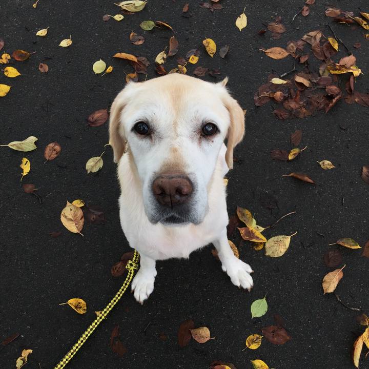 8af3b9b7 3b69 4648 9cb1 aca11e735cb5 1508479967959