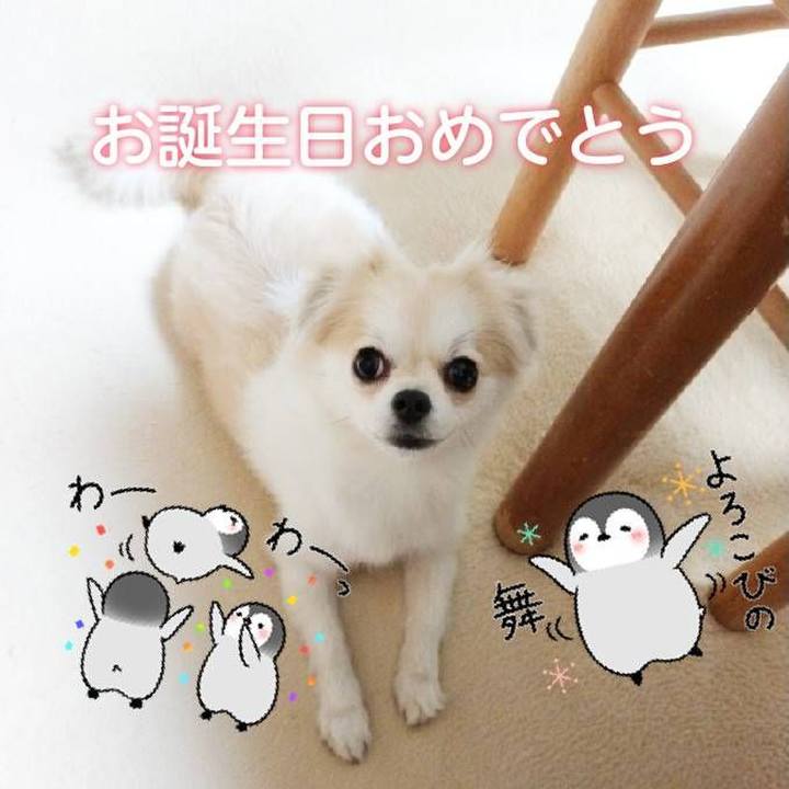 8af40e93 f9e3 4f8e 8a39 b0e7b97c60bf 1663577946969