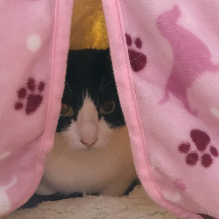 8af476a5 0b70 40bb b59b 8b893a3453c7 1608901310137