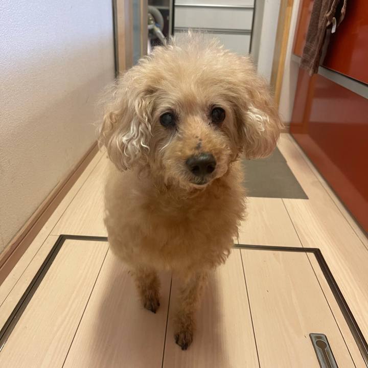 8af476d4 afaf 4f0a a8e3 e9ab00e149cc 1755737568754