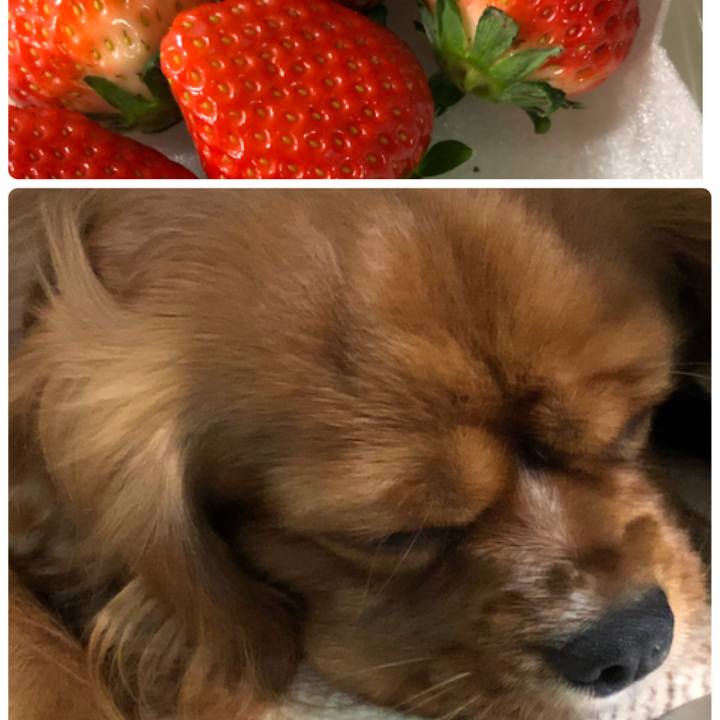 8af477ab 9256 41a9 b27f 803ddf22723a 1524396134095