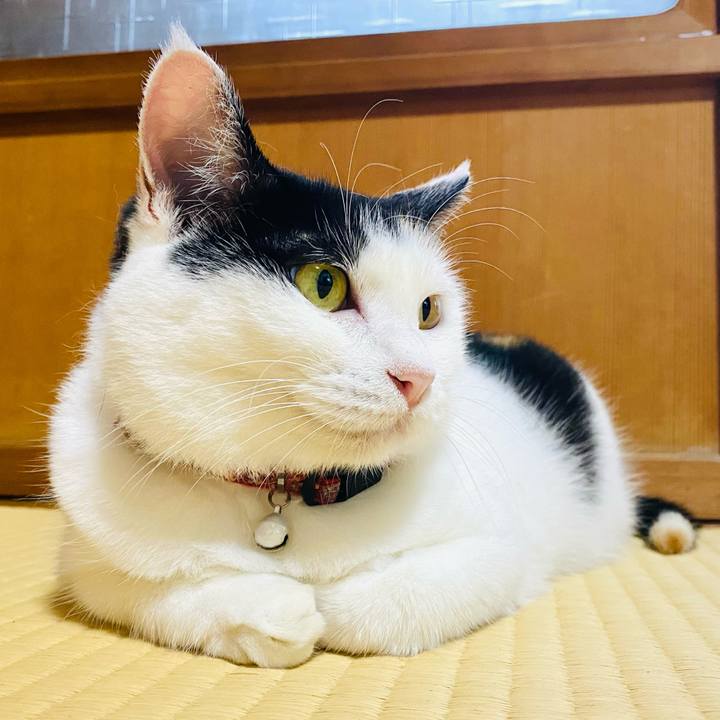 8af4b9b6 e5e0 4752 9d35 009ed1f15d5a 1692091880125