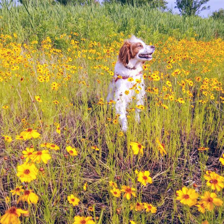 8af4cb5b 9c0c 4dee 806e 8898247c5d17 1561335679404