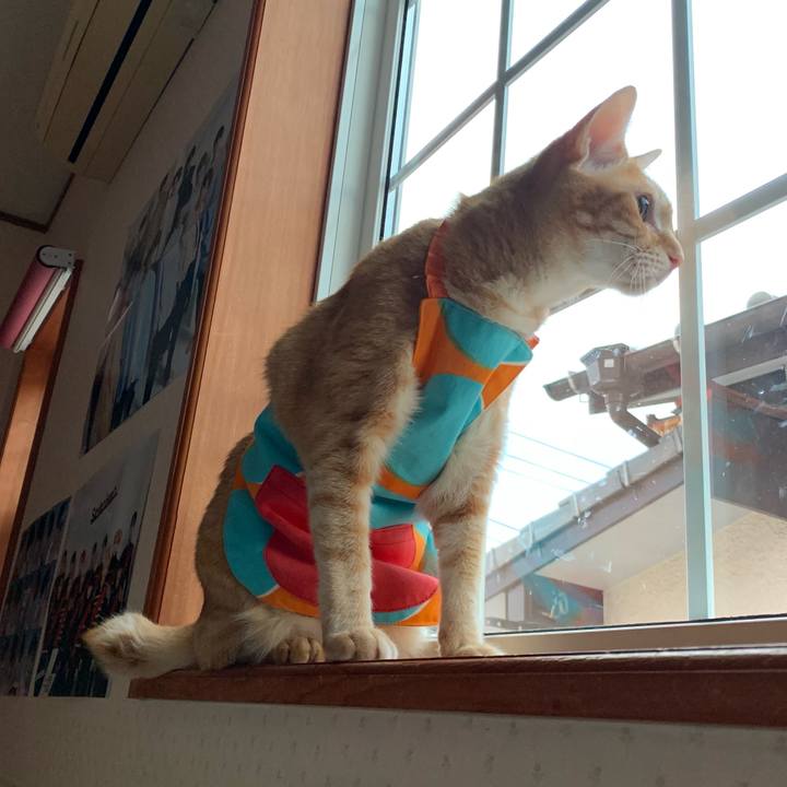 8af4e048 0534 4f5b 998c 9cfbde4659a9 1561323442090