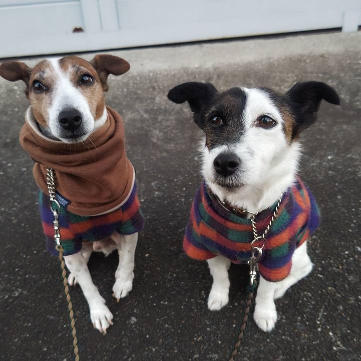 8af4e76f 10b6 450d 9709 60785239b8f7 1768341807595