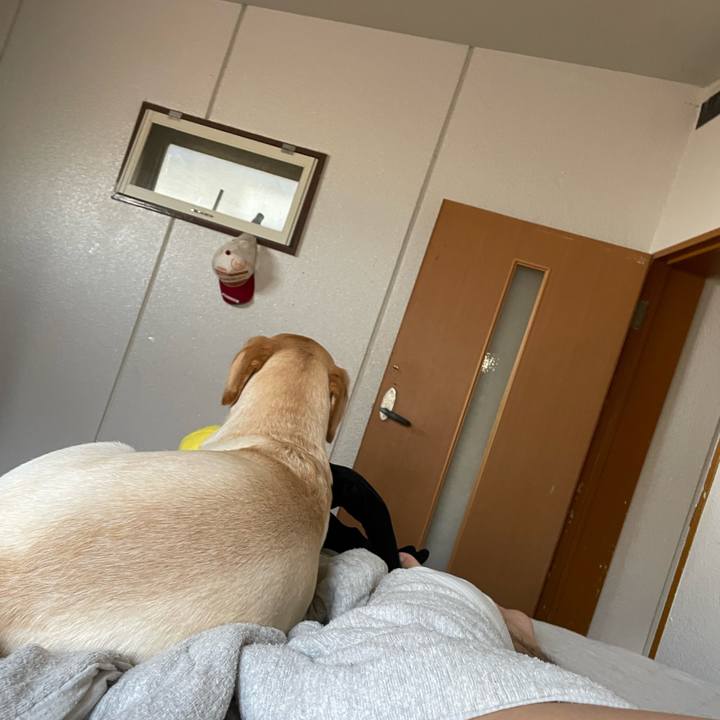 8af4ffad 251c 4178 ac77 aa3f5ea29b52 1659830465672