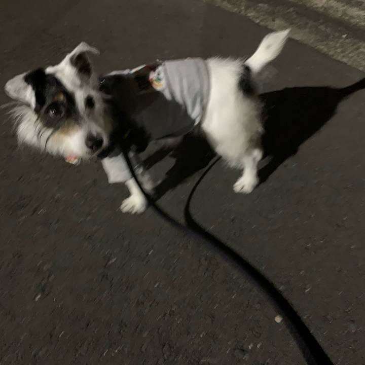 8af523af 6c58 4c2c 96ff 5614d69aa0f4 1684242171680