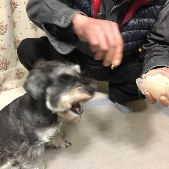 8af5437b 92e9 4f14 9526 11a5a68c545f 1614256979843