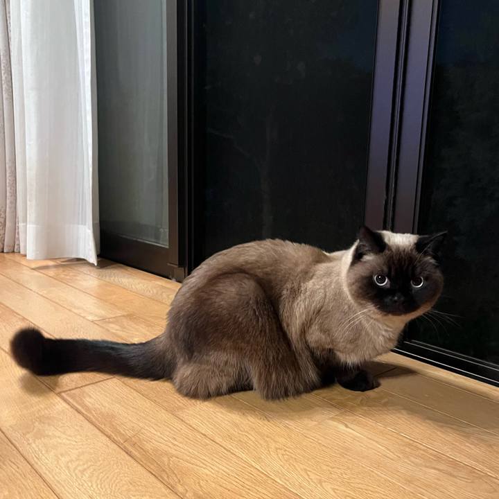 8af54bd7 9235 4cf4 ad7b c8d4f52d672c 1649849275447