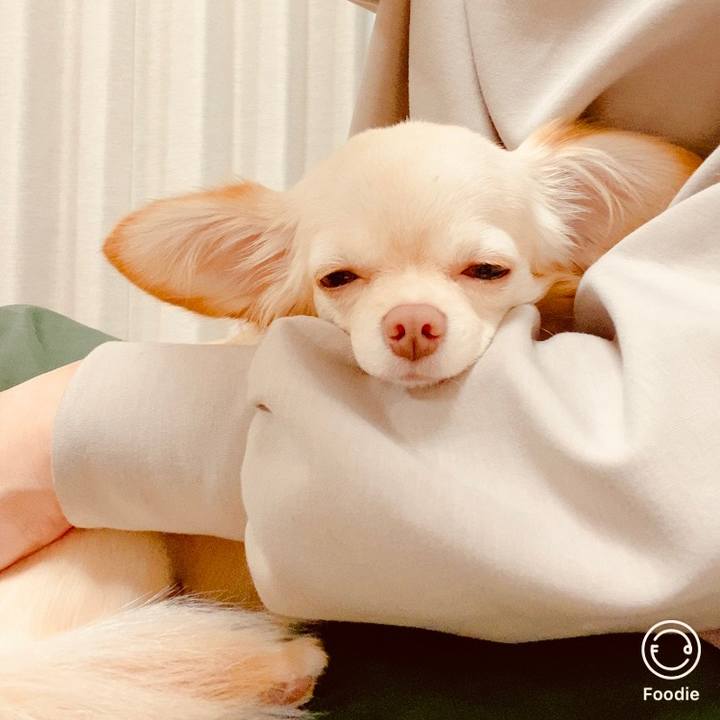 8af54e40 504c 4135 9ed0 2a3294da8749 1634902885258