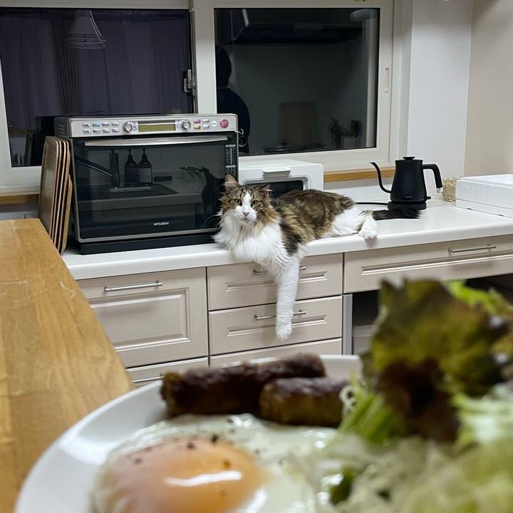 8af580a8 cdab 424f bfed 3b065e15a02b 1666299444529