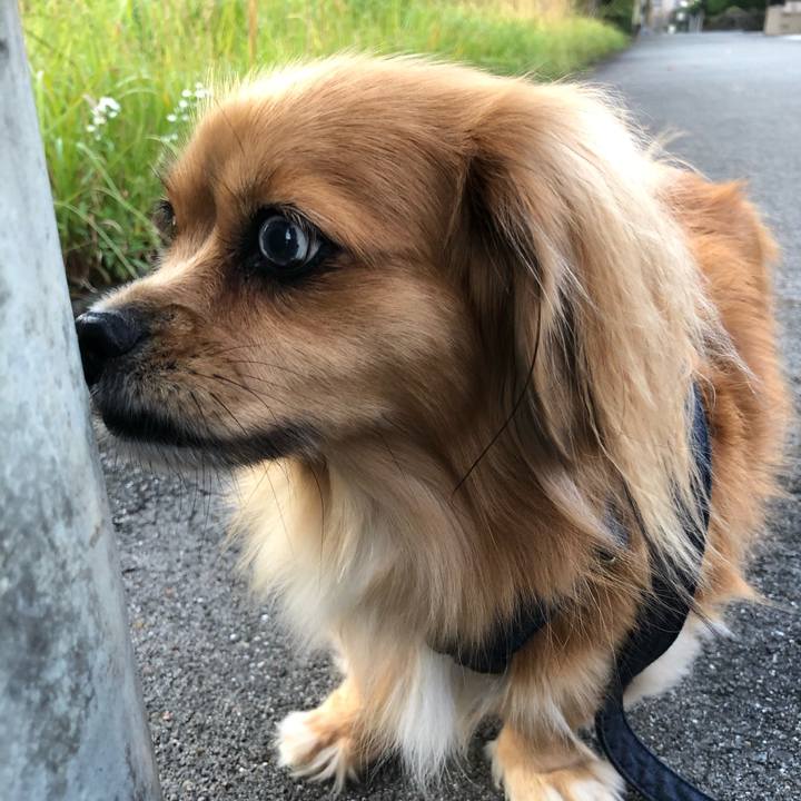 8af5ae0c 07f8 4e7d a9cf 173b113955be 1572475041103