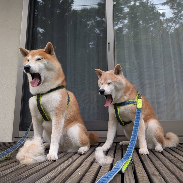 8af5c9e1 cc9f 489a 821c 134c4c874229 1758179798281