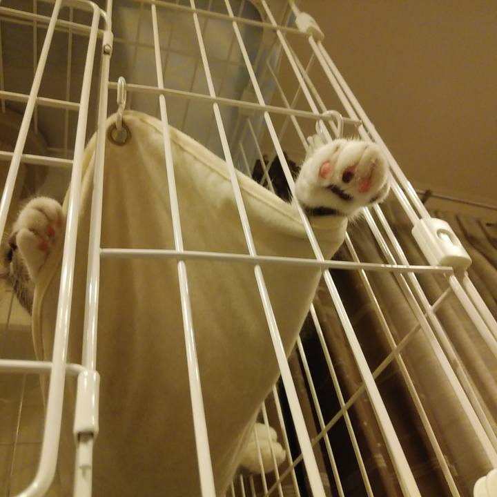 8af61485 f1d6 48ab 9967 c940eef16c4a 1593441810281