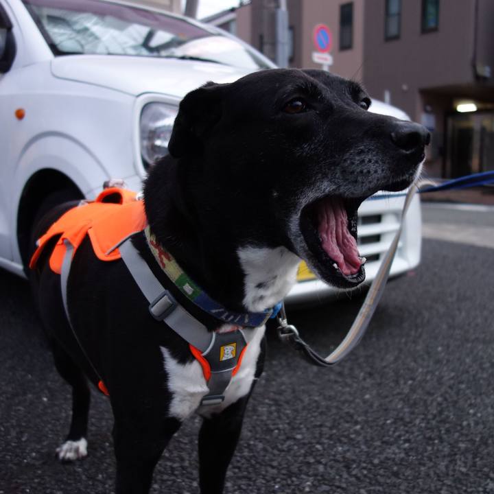 8af62795 79c7 485c 8640 5f2deb8e808a 1717672004915