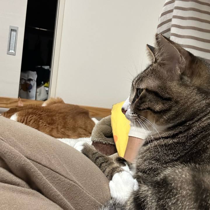 8af689ba b4ab 473a 9580 3034117c636d 1761311979781