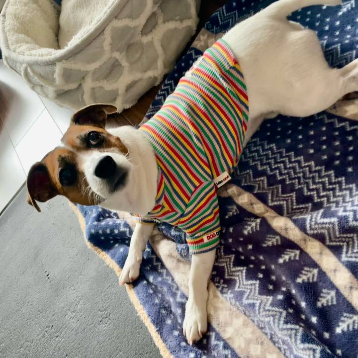 8af68c3c 3131 47ea a548 09523e420bcf 1737603875335