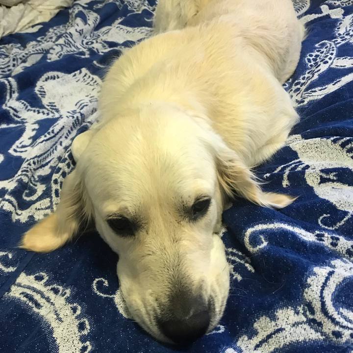 8af6c34b 3069 4d31 a252 eea9dd5631e4 1547238514478